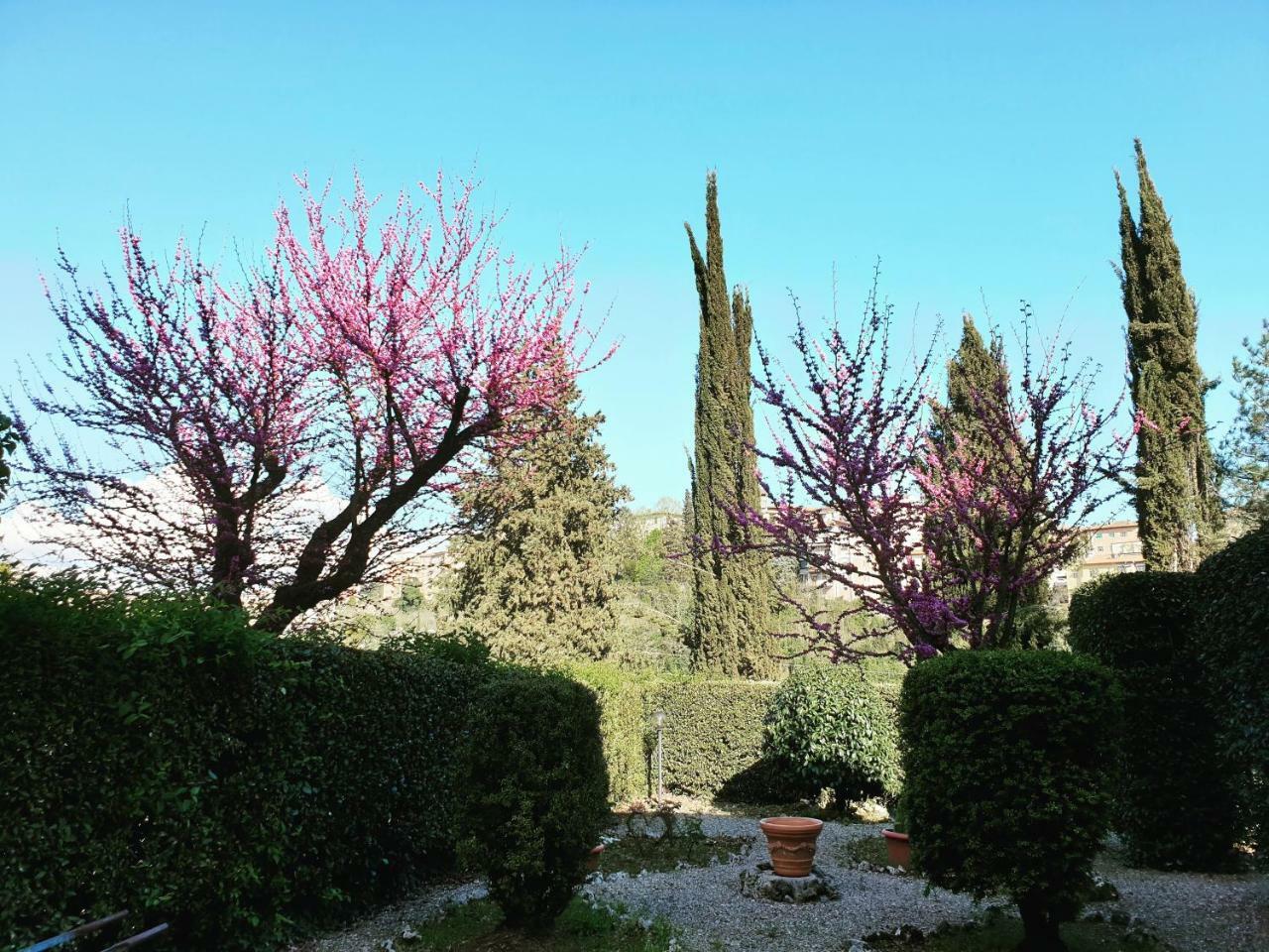 Villa Zara Siena Exterior foto